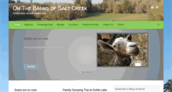 Desktop Screenshot of onthebanksofsaltcreek.com