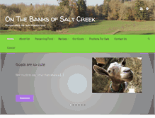 Tablet Screenshot of onthebanksofsaltcreek.com